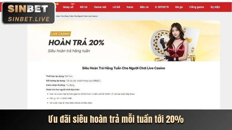 Ưu đãi hoàn trả hàng ngày tại benbet link mới